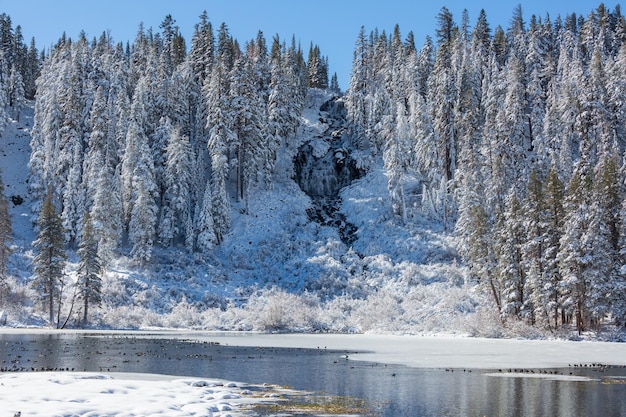 lago de inverno