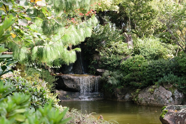 Lago de jardim japonês em Montevidéu Uruguai