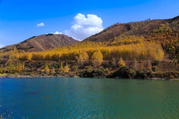 Lago de montanha com árvores amarelas Paisagem de outono Quirguistão AkTuz gorge Fundo natural