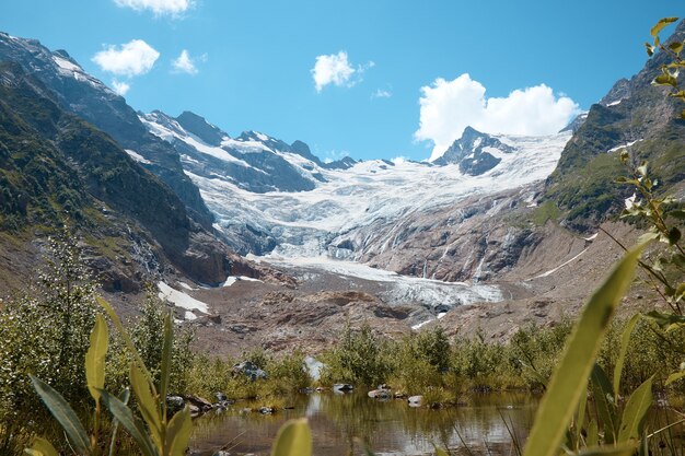 Lago de montanha, ervas, plantas, geleira à distância, picos de montanhas na neve, paisagem nas montanhas