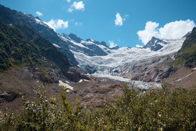 Lago de montanha, ervas, plantas, geleira à distância, picos de montanhas na neve, paisagem nas montanhas