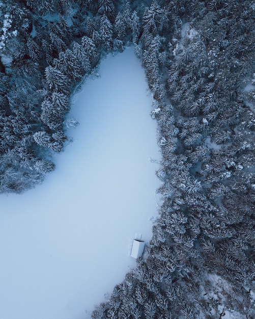 Lago de montanha nos alpes cobertos de neve