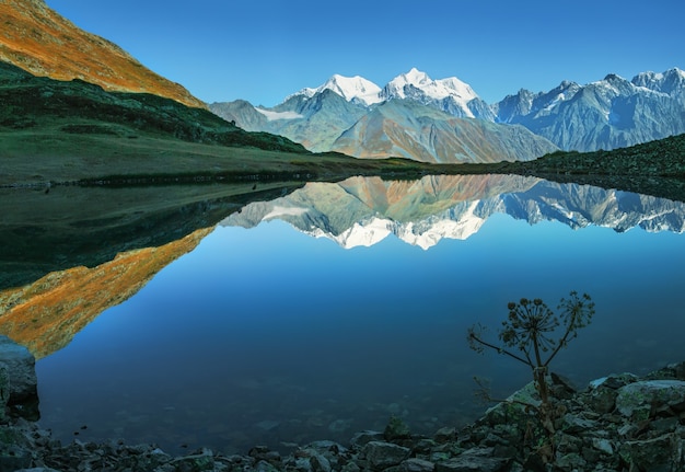 Lago de montanha selvagem com reflexo pitoresco, vista matinal, Altai