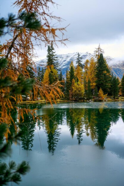 Lago de montanha