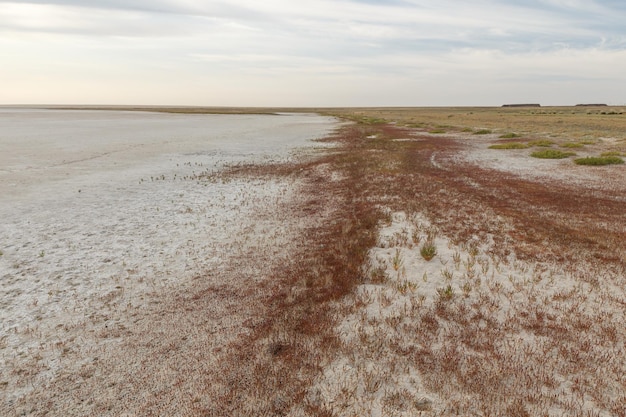 Lago de sal seco nas estepes do Cazaquistão