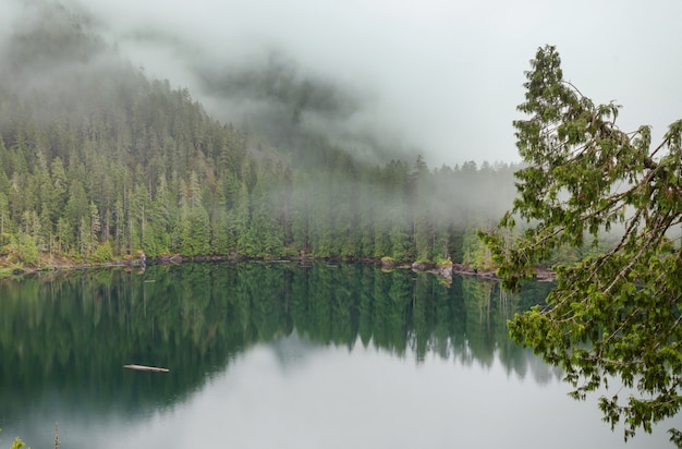 Lago de serenidade nas montanhas na temporada de verão. Belas paisagens naturais.