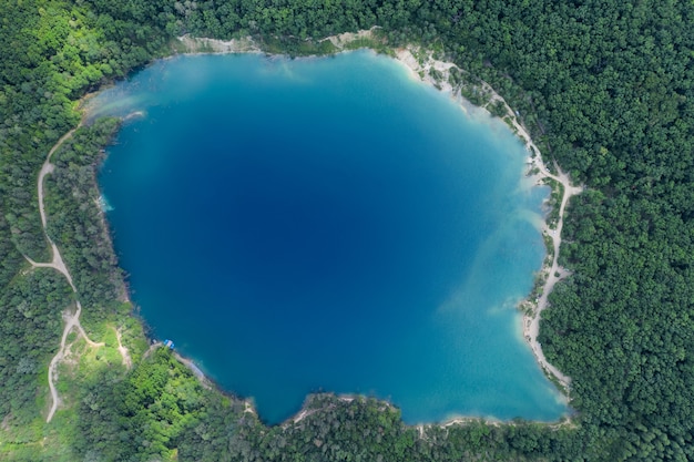 Lago en un denso bosque de pinos vista aérea