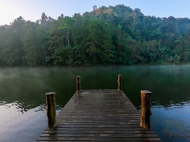 Lago e árvores