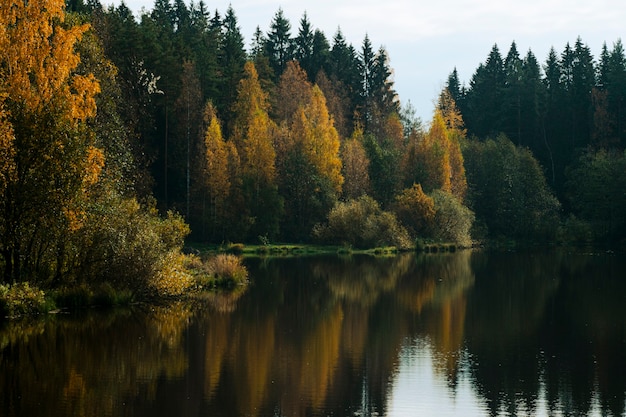 Lago e floresta de outono