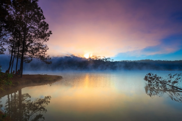 Lago e floresta de pinheiros na manhã