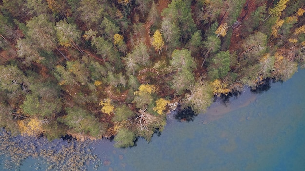 Lago e floresta na Carélia entre lariços Rússia Linda paisagem de outono com rio e floresta fotografia de stock