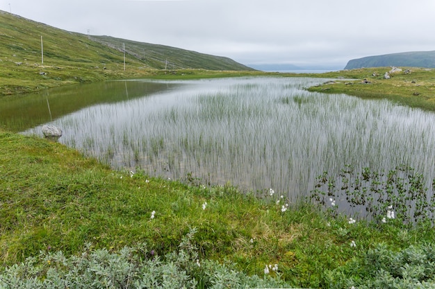 Lago e vegetação da tundra na ilha Soroya, Noruega