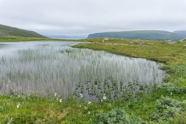 Lago e vegetação da tundra na ilha Soroya, Noruega