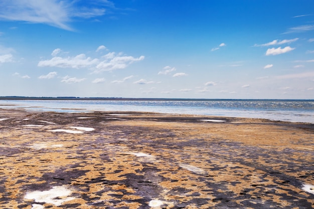 El lago Ebeyty, el lago salado más grande de la región de Omsk (Rusia), contiene lodo terapéutico. Hermosa vista natural del estanque y el cielo azul. Viaje el fin de semana.