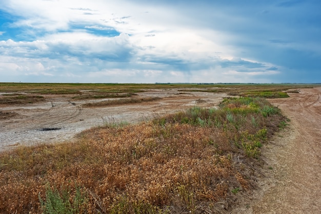 Lago Ebeyty, el lago salado más grande de la región de Omsk