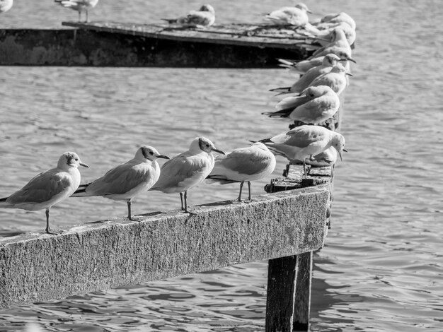 Foto lago em bocholt