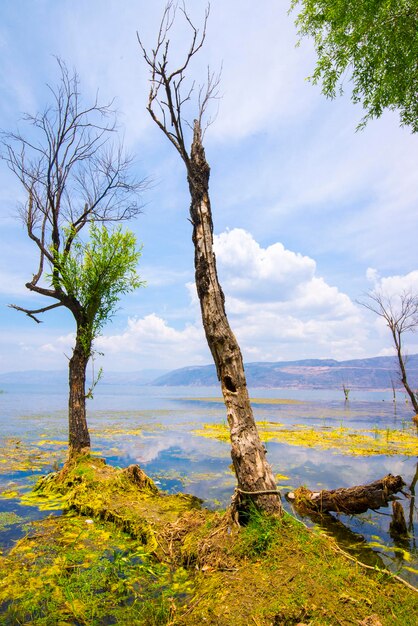 Lago Erhai en Dali Yunnan China