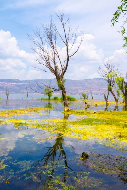 Lago Erhai en Dali Yunnan China