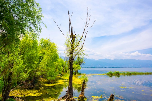 Lago Erhai em Dali Yunnan China