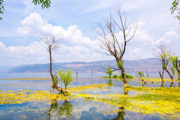 Lago Erhai em Dali Yunnan China