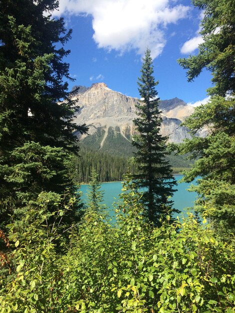 Foto el lago esmeralda en el parque nacional yoho, canadá