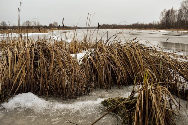 El lago está cubierto de hielo en invierno.