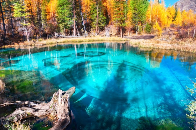 Lago géiser en otoño de las montañas de Altai, Siberia, Rusia