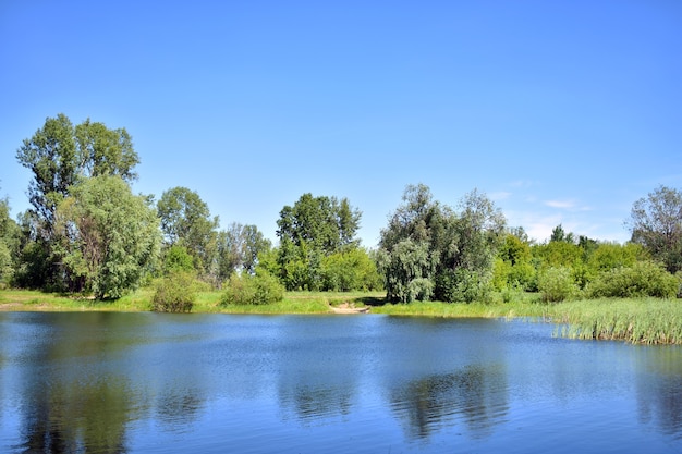 lago grande floresta azul e céu azul