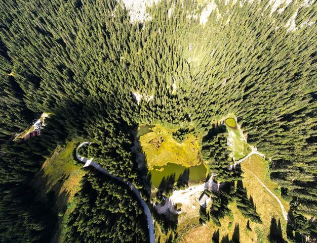 Foto el lago grassy smolyan en las montañas rodope, bulgaria