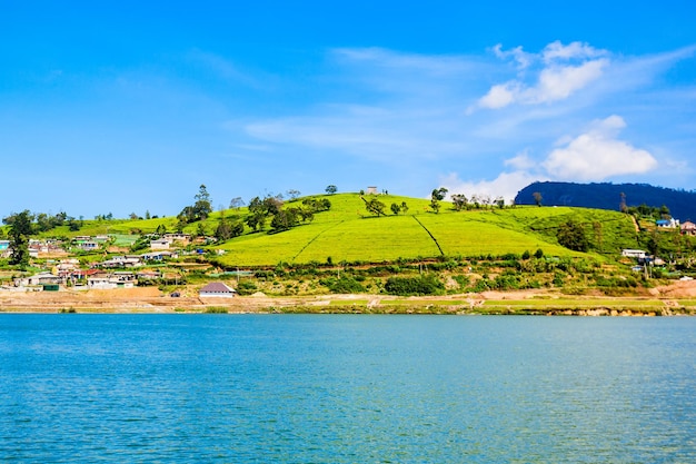 Lago gregory e gregory park em nuwara eliya. o lago gregory é um reservatório no centro da cidade de nuwara eliya, na colina do país do chá, no sri lanka.