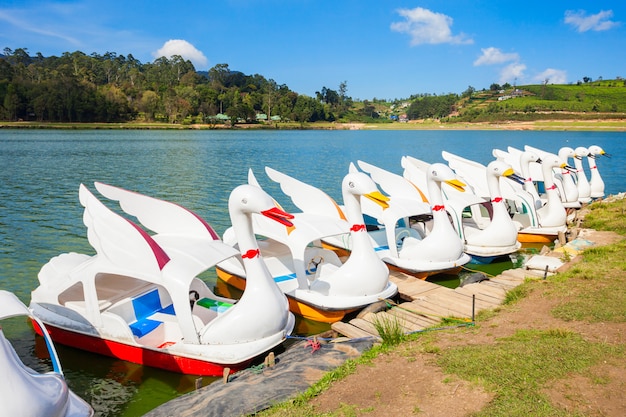 Lago gregory, nuwara eliya