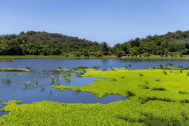 El lago Gugang en Kinmen de Taiwán