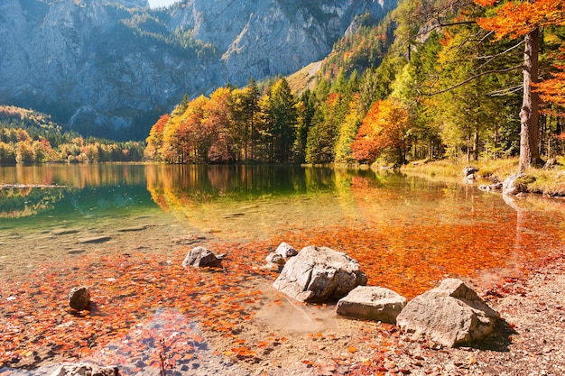 Lago Hinterer Langbathsee nos Alpes austríacos. Folhas vermelhas de outono na água