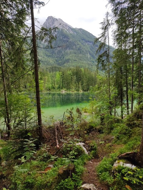 Foto lago hintersee nos alpes alemães