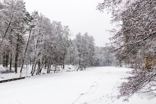 Lago de invierno cubierto de hielo y nieve