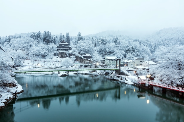 Lago de invierno landcape