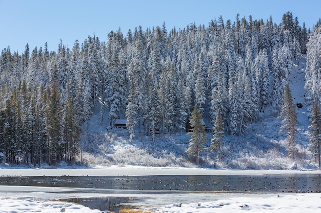 lago de invierno