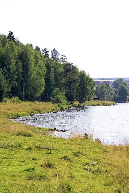 El lago Izhbulat cerca del bosque