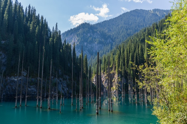 Lago Kaindy - lago de montanha no Cazaquistão