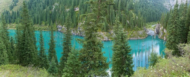Lago Kaindy no sistema montanhoso de Tien Shan, Cazaquistão
