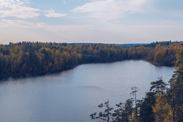 Lago en Karelia entre alerces Rusia Hermoso paisaje de la temporada de otoño con río y bosque