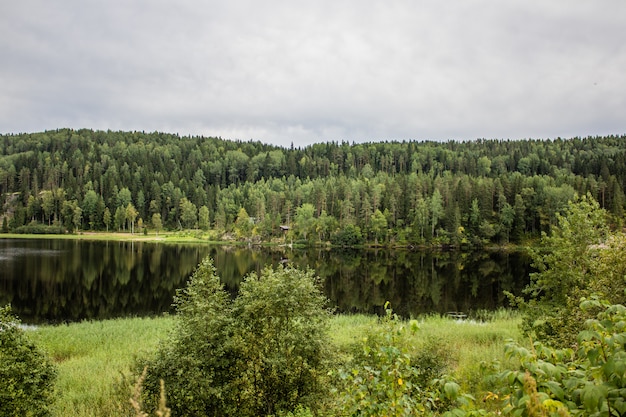 Lago en Karelia. Paisajes naturales de verano en viajes. Norte de rusia