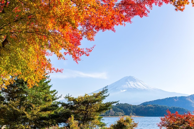 Lago Kawaguchi e Monte Fuji no outono