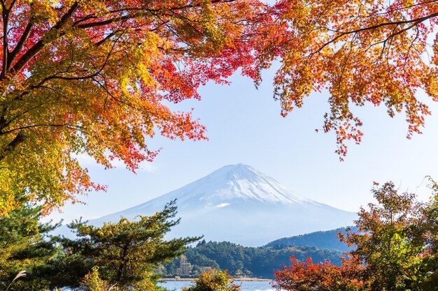 Lago kawaguchiko y montaña fuji