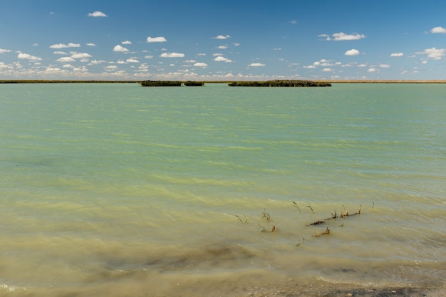 Lago en Kazajstán. pequeño lago desconocido en la estepa de Kazajstán.