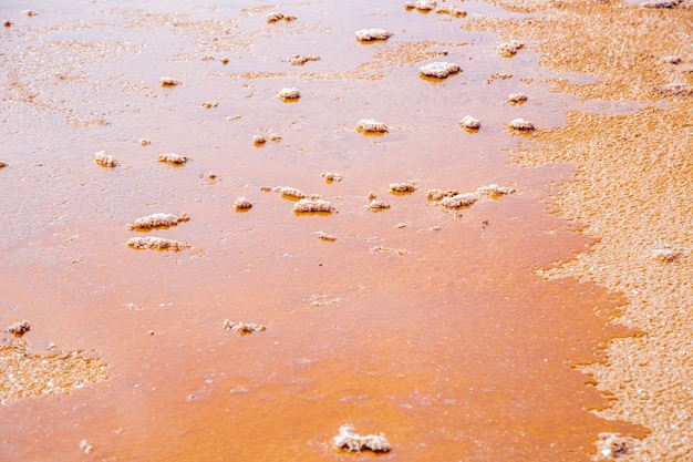 Lago Koyashskoye. Se puede ver el agua rosa-anaranjada en la que flotan islas de sal, la orilla está formada por cristales de sal. Foto de alta calidad