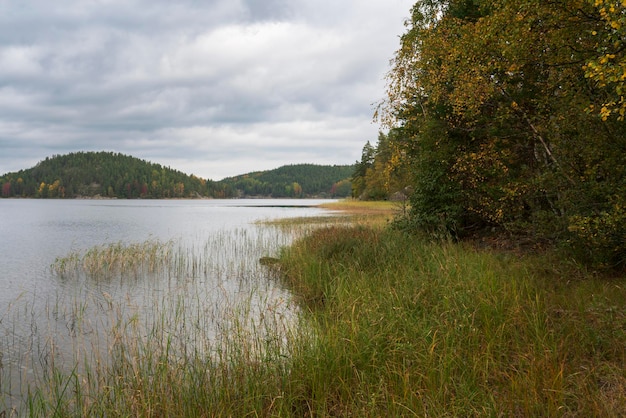 El lago Ladoga cerca de la aldea Lumivaara en un día de otoño Ladoga skerries Lakhdenpokhya Karelia Rusia