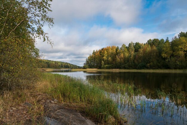 El lago Ladoga cerca de la aldea Lumivaara en un soleado día de otoño Ladoga skerries Lahdenpohya Karelia Rusia