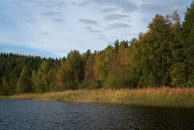 Lago Ladoga cerca de la aldea Lumivaara en un soleado día de otoño Ladoga skerries República de Karelia Rusia