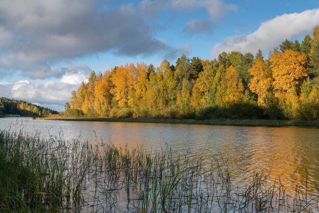 Lago Ladoga perto da aldeia Lumivaara em um dia de outono Ladoga skerries República da Carélia Rússia